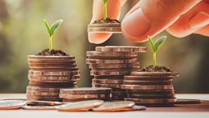 Mutual Funds